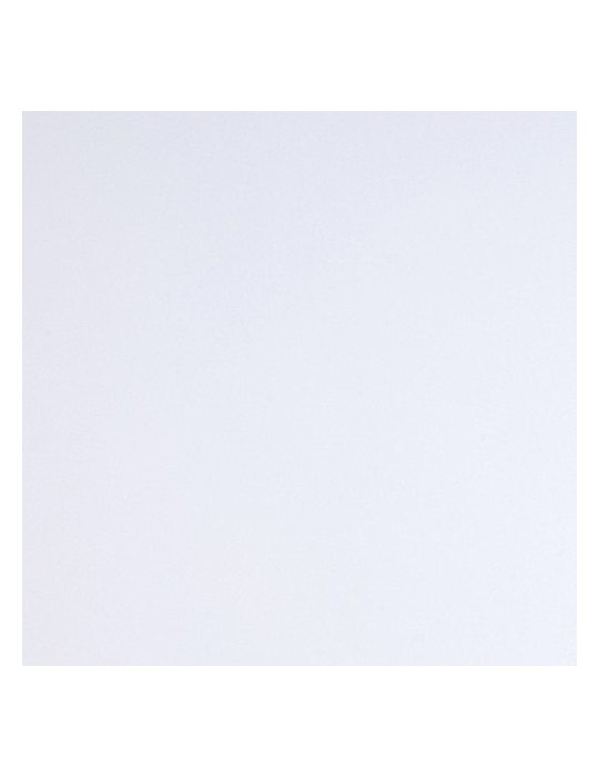 E3829B - Blanc Brillant